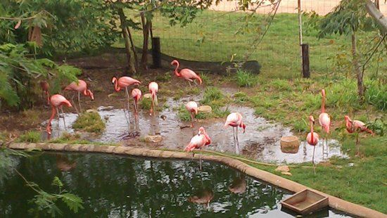 Parque Pedro Infante